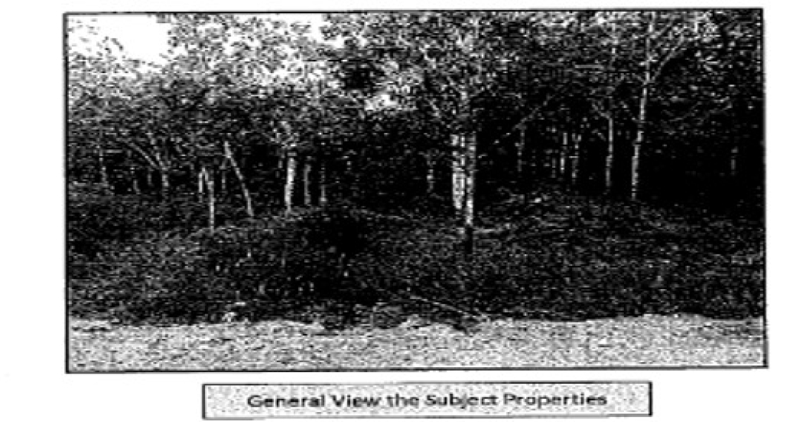 Picture4 - 5 Parcels.jpg